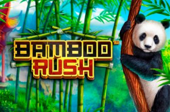 Bamboo Rush